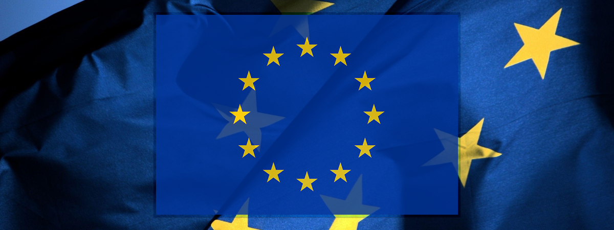 EU SUPPORT TO REDI: ADVANCING ROMA ENTREPRENEURS IN THE WESTERN BALKANS